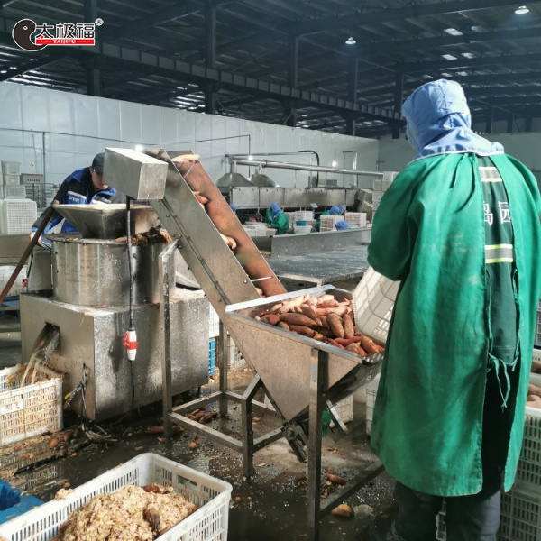 红薯去皮机工作实例