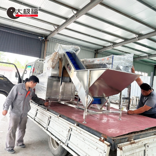 土豆清洗去皮流水线发货了