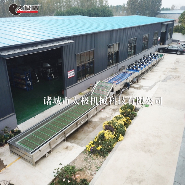 红薯清洗风干流水线红薯伤口愈合设备