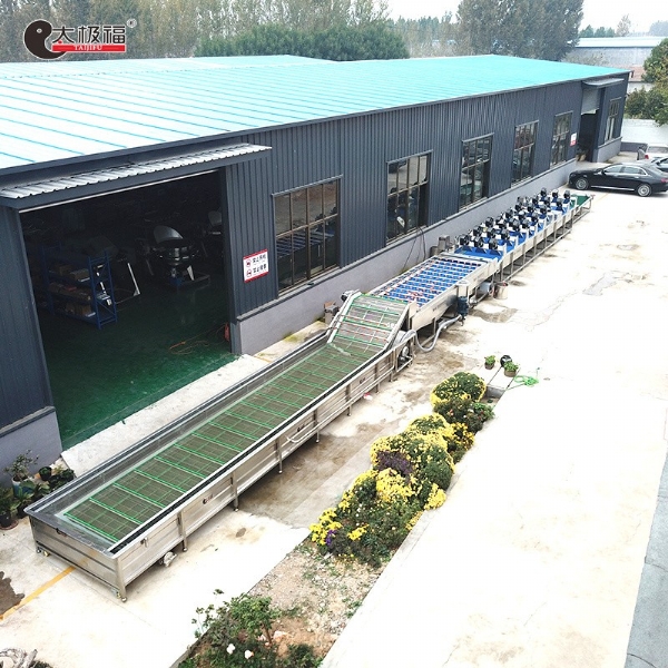 果蔬清洗风干流水线