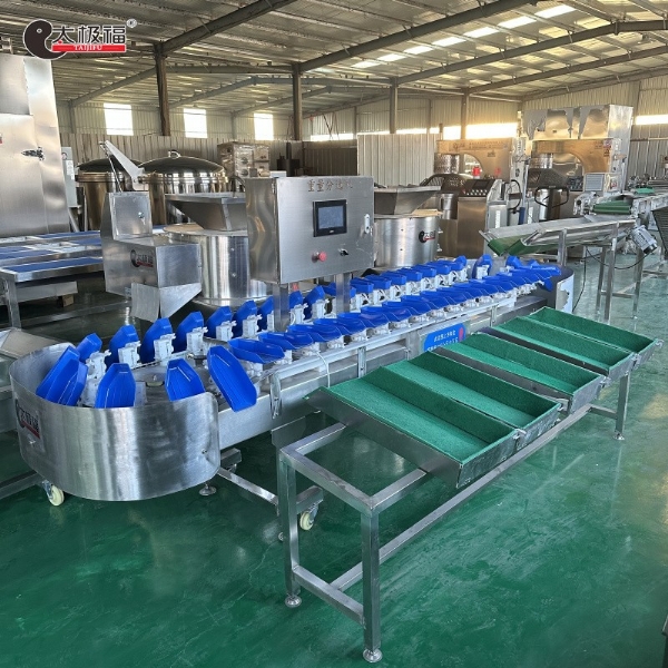 红薯鲜食清洗分拣