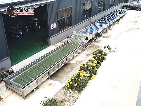 中药材清洗流水线