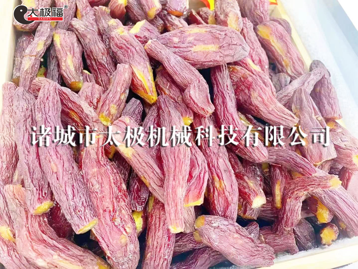 2微信图片_20231206120609 拷贝