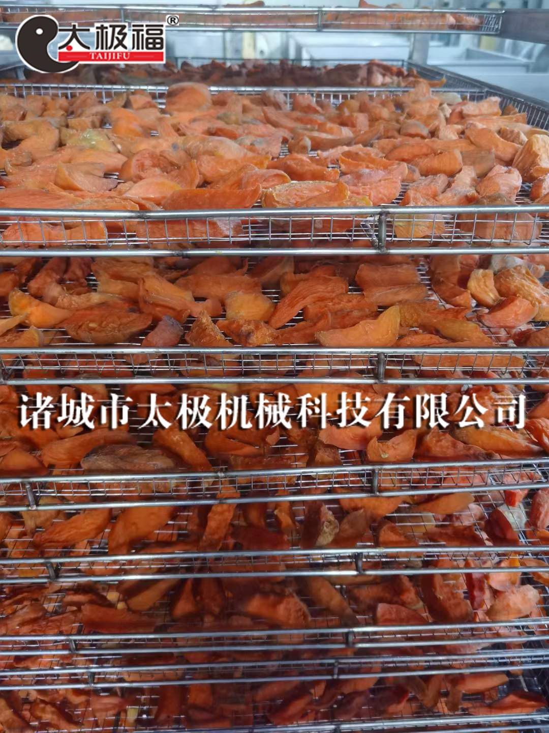 2微信图片_20221215084952 拷贝