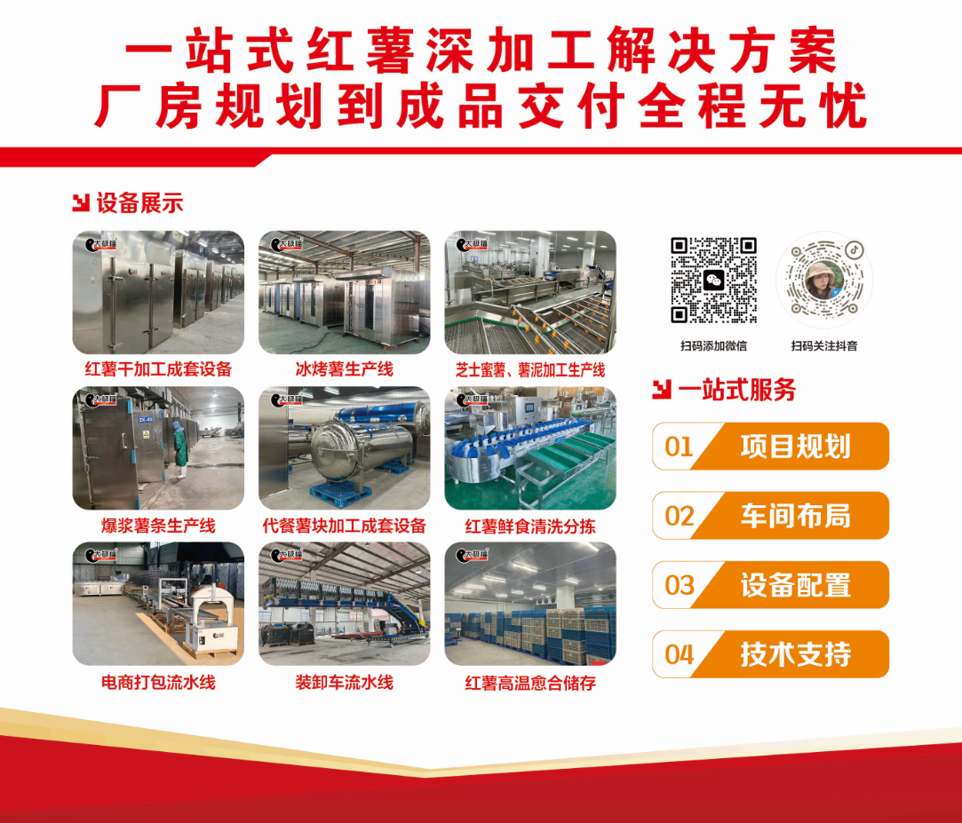 河北丰润区中粮集团莅临太极机械考察调研红薯加工成套设备